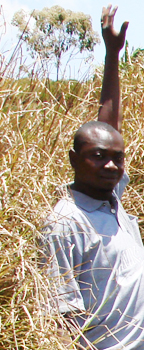 Alain