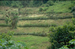ethiopia
