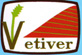China Vetiver Network logo.