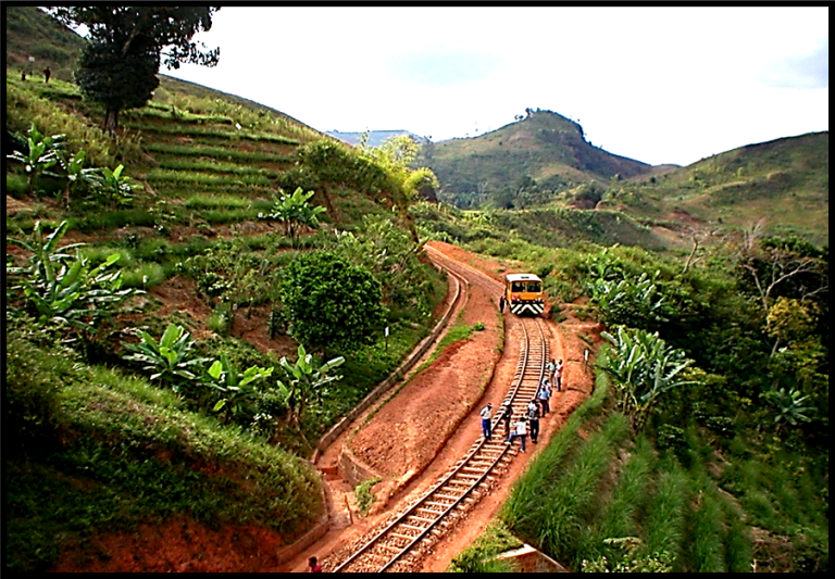 Vetiver-stabilized slopes and terraced farms along a railway line in Madagascar