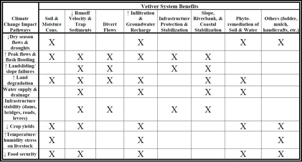 The Vetiver System: A toolkit for community-led, climate change ...