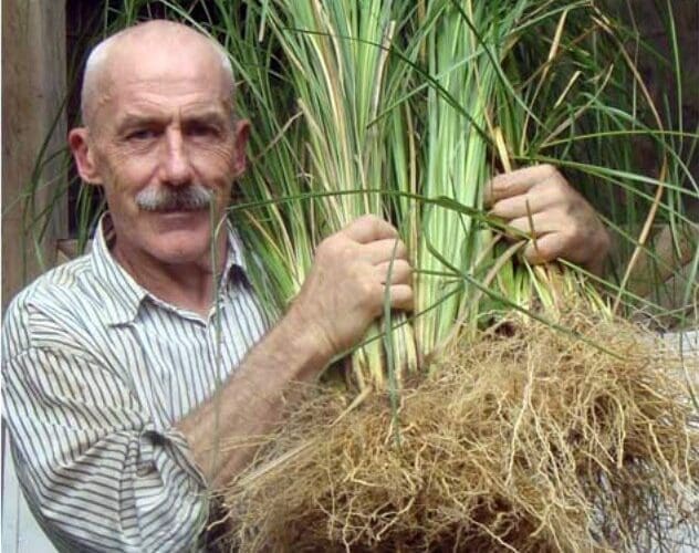 Production technology of Vetiver
