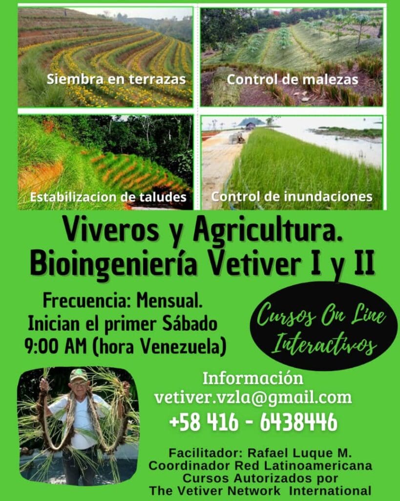 Spanish Vetiver courses