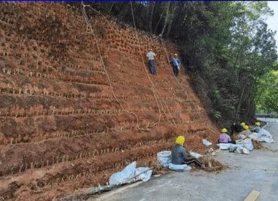 Planting vetiver on a 140% slope in Guangdong, China